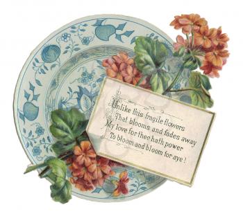 Plates Illustration