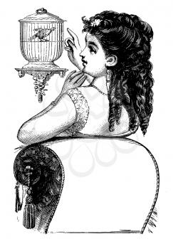 Women Illustration