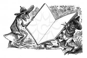 Lizard Illustration