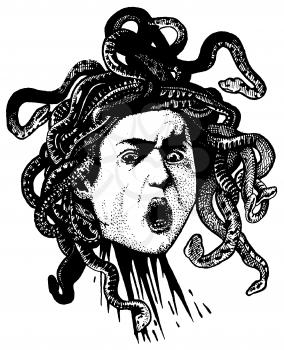 Medusa Illustration