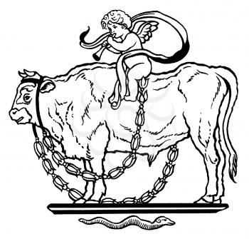 Cows Illustration