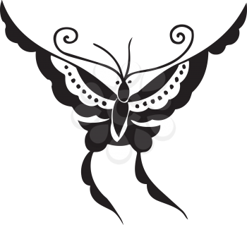 Butterfly Illustration