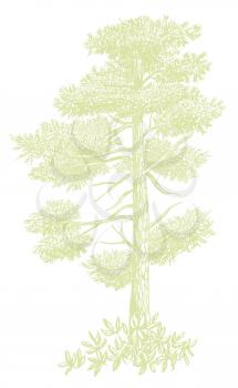 Arbor Illustration