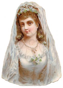 Bride Illustration