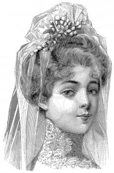 Brides Illustration