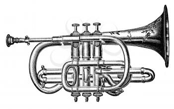 Trumpets Illustration