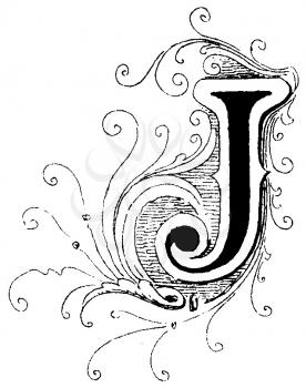 Letter Illustration