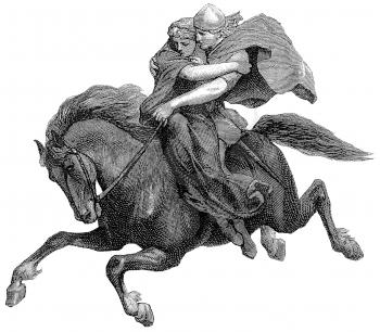 Pony Illustration