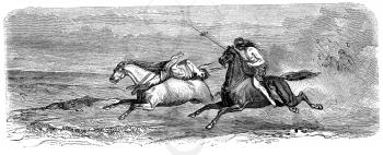 Rider Illustration