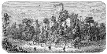 Castle Illustration
