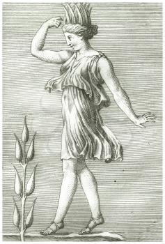 Aphrodite Illustration