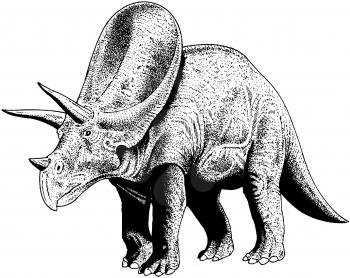 Prehistoric Illustration