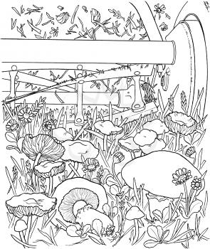 Mushroom Illustration