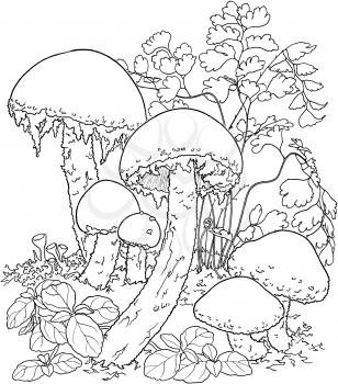 Mushroom Illustration