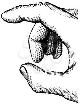 Hands Illustration