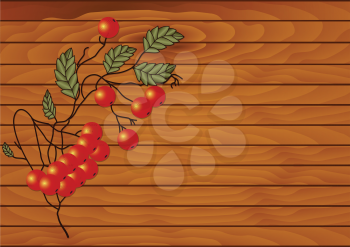 Illustration of red rowan branches on a wooden background