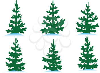 Illustration set of various spruces in snow on a white background