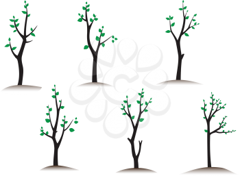 Illustration set of various saplings on a white background