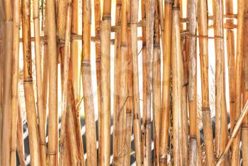 Abstract background of part of wickered dry reeds 