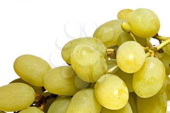 Bunch of white grapes isolated on a white background