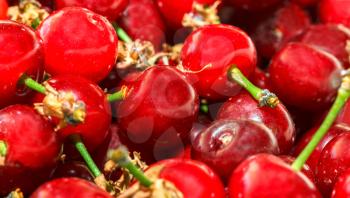 Background from ripe juicy tasty red cherry