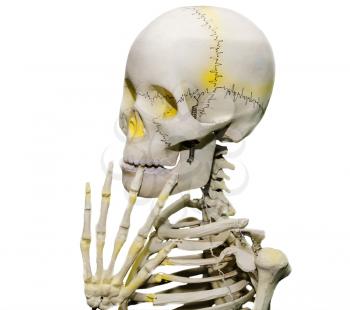 Confused model of a human skeleton isolated on a white background