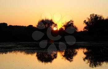 Golden warm tranquil sunset over the lake. Silhouettes of trees against the backdrop of the setting sun and a cloudless sky. The reflection in the calm water.