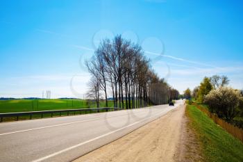 Asphalt road in the countryside on a sunny summer day. The trees on the roadside.