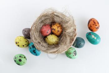 Painted quail eggs in the nest. Top view.