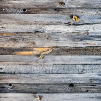Old wood background. Wooden plank wall texture.