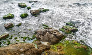 Close-up of sea surf. Rocky shore with sea water and large rocks covered with algae. Rocky coastline with sea water.