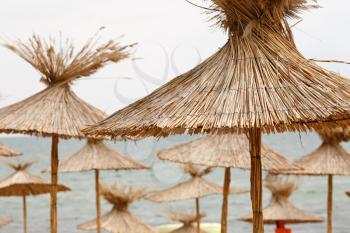 Straw beach umbrellas on a background of the cloudless sky. Shallow depth of field.