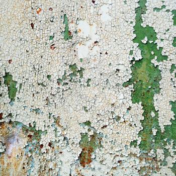 Grunge peeling paint texture. Background of old weathered green paint with cracks and rust. Vintage background.