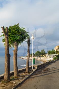 Trees along the pavement. Old Town Nesebar, Bulgaria. Sunny summer day. Bulgarian Black Sea Coast. Vertical shot.