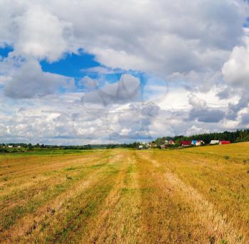 Rural landscape with field of cut grass after harvest and sky with cumulus clouds.