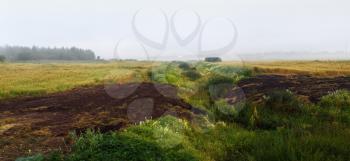 Arable land and thickets of grass in the fog. Foggy field landscape. Panorama shot.
