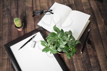 Blank book, photo frame, stationery and plants on wooden background.