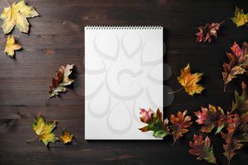 Blank notepad and autumn maple leaves on wood table background. Flat lay.