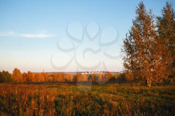 Picturesque autumn landscape. Trees, bushes and field. Space for text