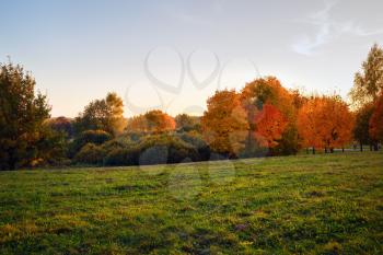 Evening autumn landscape. Trees, bushes and field