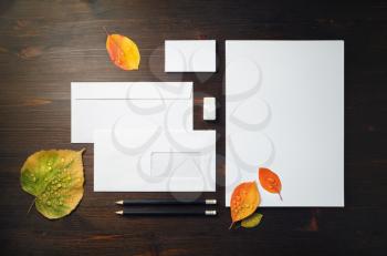 Blank corporate stationery and bright autumn leaves with water droplets on wood table background. Template for branding identity. Flat lay.