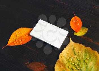 Blank business card and autumn leaves on wood table background. Mockup for branding identity.