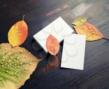 Blank paper business cards and and bright autumn leaves with water droplets on wood table background. Responsive design mockup.