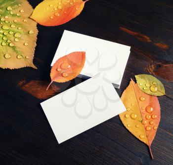 Blank business cards and autumn leaves on wooden background. Copy space for text.