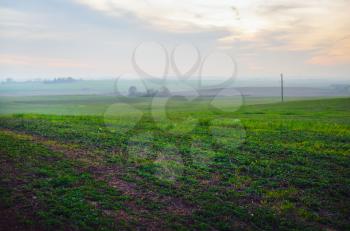Evening rural landscape. Green grass field in the countryside.
