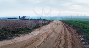 Gravel road in the countryside. Evening rural landscape.