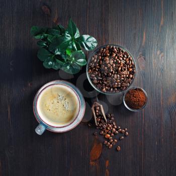 Still life with coffee cup, roasted coffee beans, plant and ground powder on wooden kitchen table background. Flat lay.