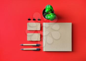 Blank kraft stationery. Book, business cards, pens and plant on red paper background. Top view. Flat lay.