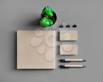 Kraft stationery mock up. Blank corporate identity set. Booklet, business cards, pens and plant. Template for branding identity. Flat lay.