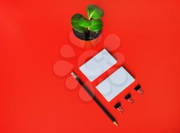 Blank corporate id template on red paper background. Photo of blank stationery set and plant.